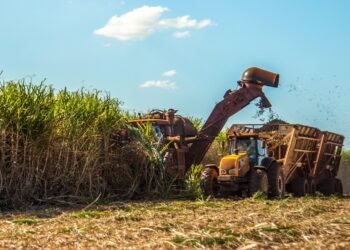 Azucareros cerraron la paritaria 2023 – 2024