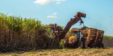 Azucareros cerraron la paritaria 2023 – 2024