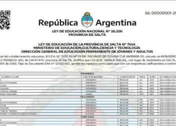 Desde este año Salta emitirá títulos digitales