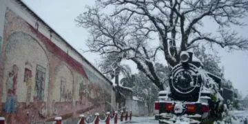 Anticipan nevadas para este fin de semana en Salta