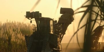 Azucareros aceptaron el aumento ofrecido por Seaboard