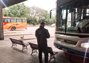 La AMT secuestró más de 120 vehículos en los últimos 30 días