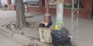 Vecina reclama por la falta de recolector de residuos