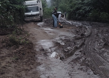 Recuperaron un camión robado en Tartagal