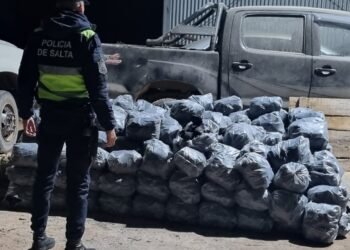 La policía secuestró carbón vegetal en Pichanal