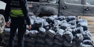 La policía secuestró carbón vegetal en Pichanal