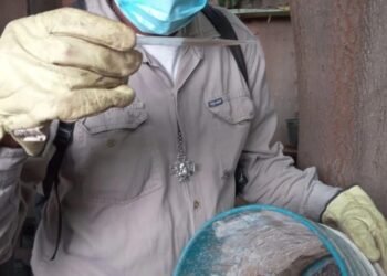 Sigue el trabajo de la Lucha Contra el Dengue