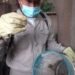Sigue el trabajo de la Lucha Contra el Dengue