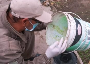 Sigue el trabajo de la lucha contra el dengue