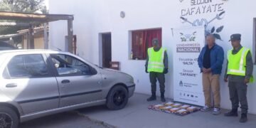 Traficaba ocho kilos de cocaína en el torpedo de su auto