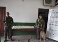Gendarmería secuestró 31 kilos de cocaína y 1 kilo de marihuana