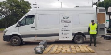 Detuvieron a dos hombres con más de 108 kilos de marihuana