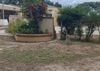 Infraestructura municipal trabajó en la Escuela “Cabo Romero”