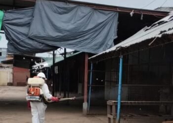Fumigaron el Mercado de Abasto