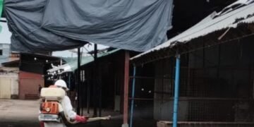 Fumigaron el Mercado de Abasto