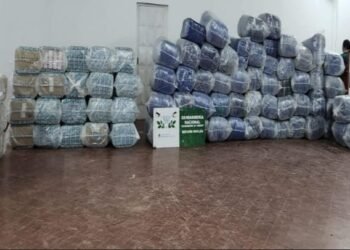 Secuestraron marihuana, hojas de coca y cartones de cigarrillos