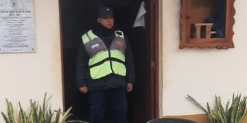Secuestraron un cargamento ilegal de neumáticos
