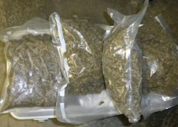 Imputaron a una familia en Embarcación por vender marihuana