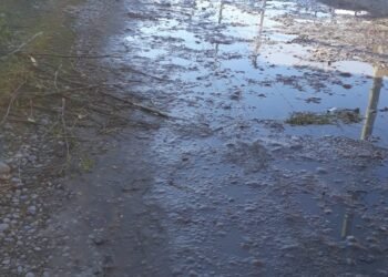 Vecinos denuncian una pérdida de agua