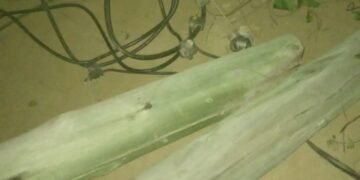 Vecinos denuncian la caída de un poste con electricidad