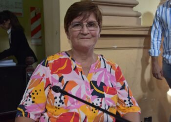 Proponen que Salta adhiera a la Ley Nacional 27.733