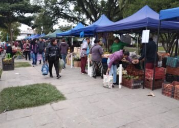 Hoy el “Verdurazo” se trasladó a la Plaza San Martín