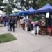 Hoy el “Verdurazo” se trasladó a la Plaza San Martín