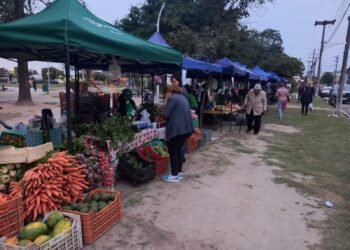El Verdurazo se cumple hoy en Plaza Santa Marta