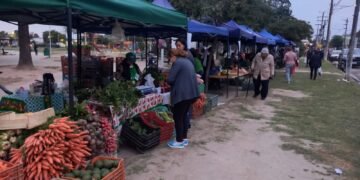 El Verdurazo se cumple hoy en Plaza Santa Marta