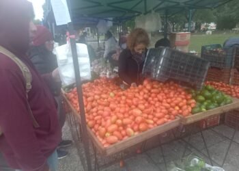 El “Verdurazo” se realiza en la Plaza General Pizarro