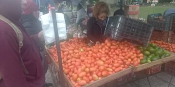 El “Verdurazo” se realiza en la Plaza General Pizarro