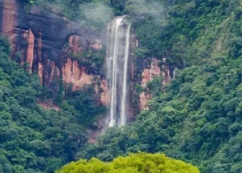 Propondrán a las Yungas como patrimonio mundial