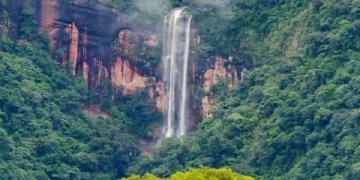 Propondrán a las Yungas como patrimonio mundial