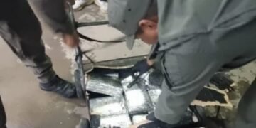 Dos colombianos intentaron ingresar 16 kilos de marihuana a nuestro país