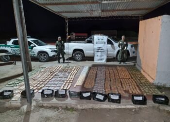 Incautan dinero, marihuana, hojas de coca en tres procedimientos