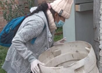 Sigue el trabajo en la lucha contra el dengue