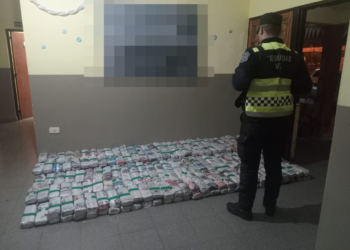 Secuestraron 180 kilos de hojas de coca en el acceso a Salta