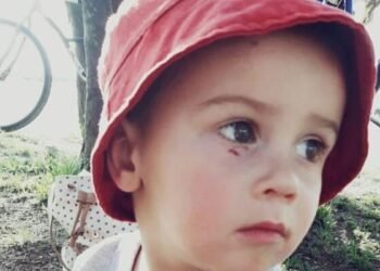 Salta adhirió a la Ley Lucio