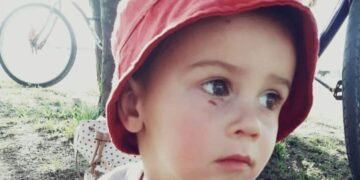 Salta adhirió a la Ley Lucio