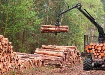 Orán es sede del 145 Congreso Maderero Nacional