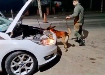 Traficaban cocaína en el techo del auto