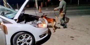 Traficaban cocaína en el techo del auto
