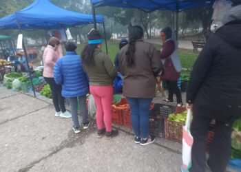 Hoy jueves de Verdurazo