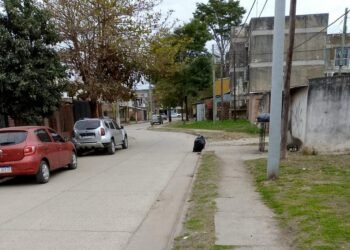 Otra vez se limpió el Barrio 402 Viviendas