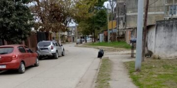 Otra vez se limpió el Barrio 402 Viviendas
