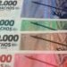 La Rioja empezó a pagar sueldos con “chachos”