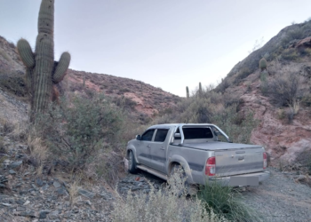 La Policía incautó más de 600 kilos de hojas de coca