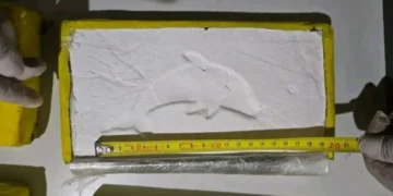 La droga secuestrada por Gendarmería a los narcopolicías salteños tiene la marca del “Delfín”