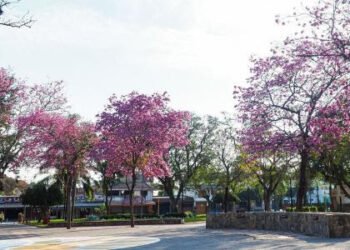 Mintió que fue secuestrada y desestimaron la denuncia