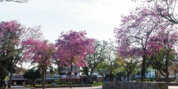 Mintió que fue secuestrada y desestimaron la denuncia